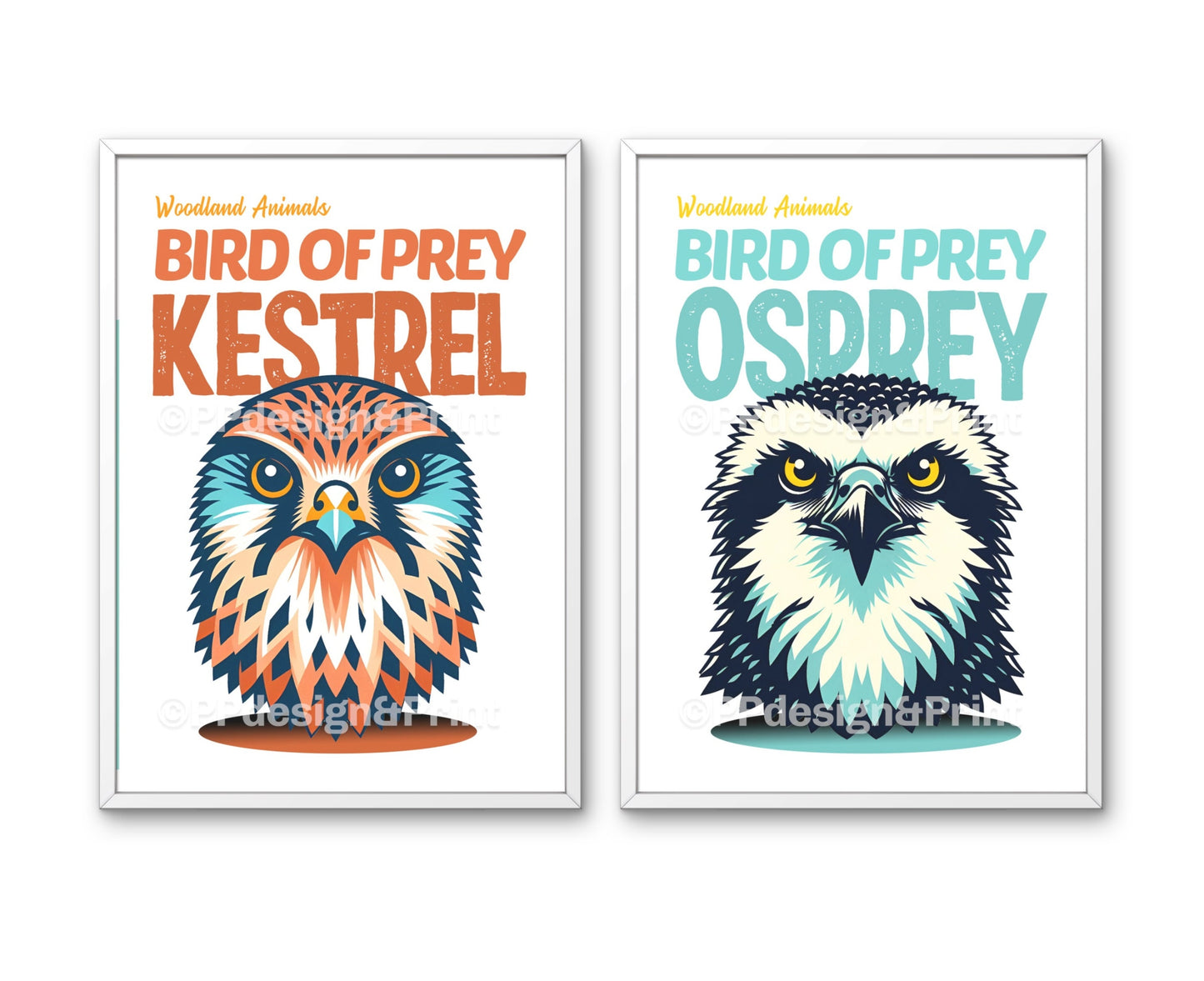 Birds of Prey Prints set of 4