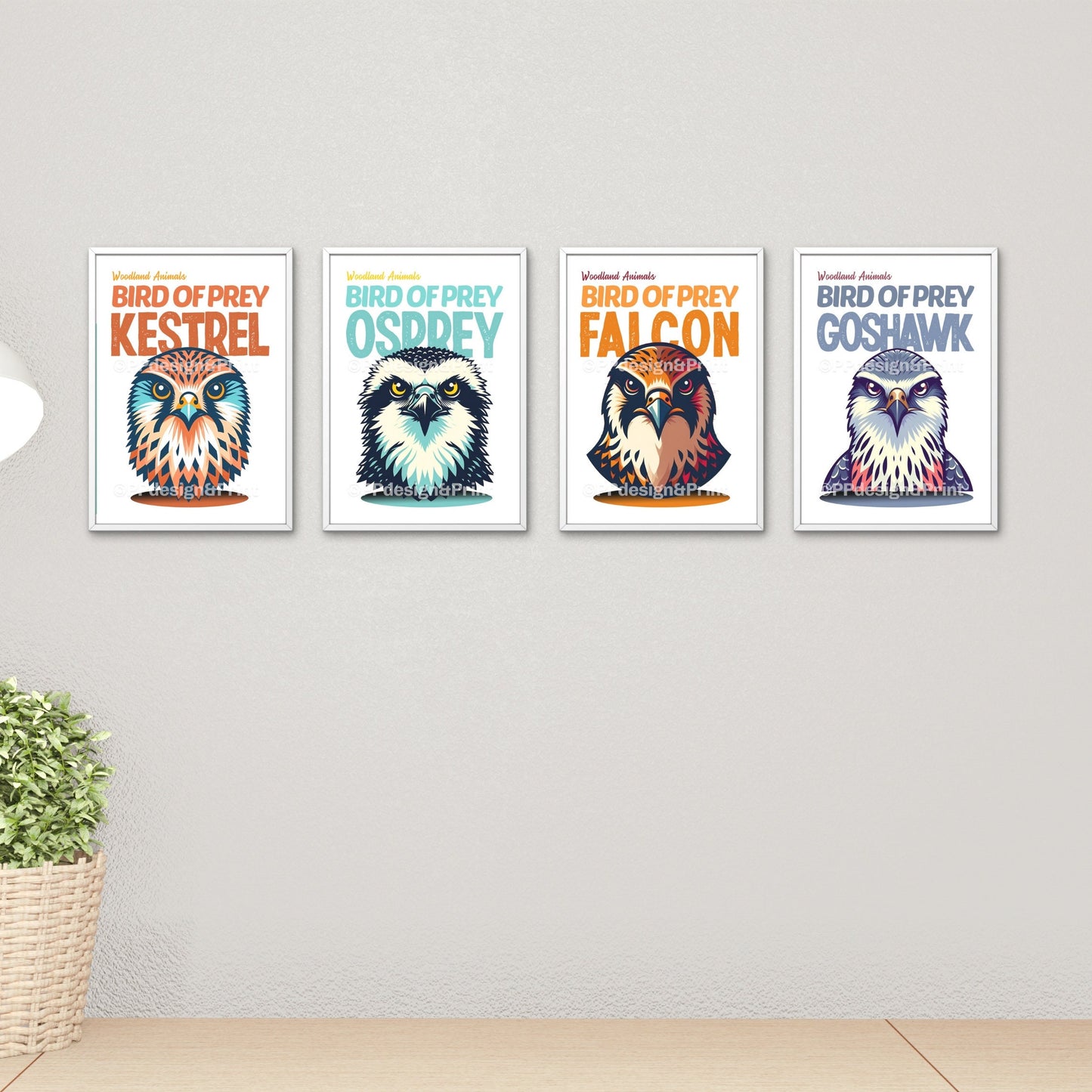 Birds of Prey Prints set of 4